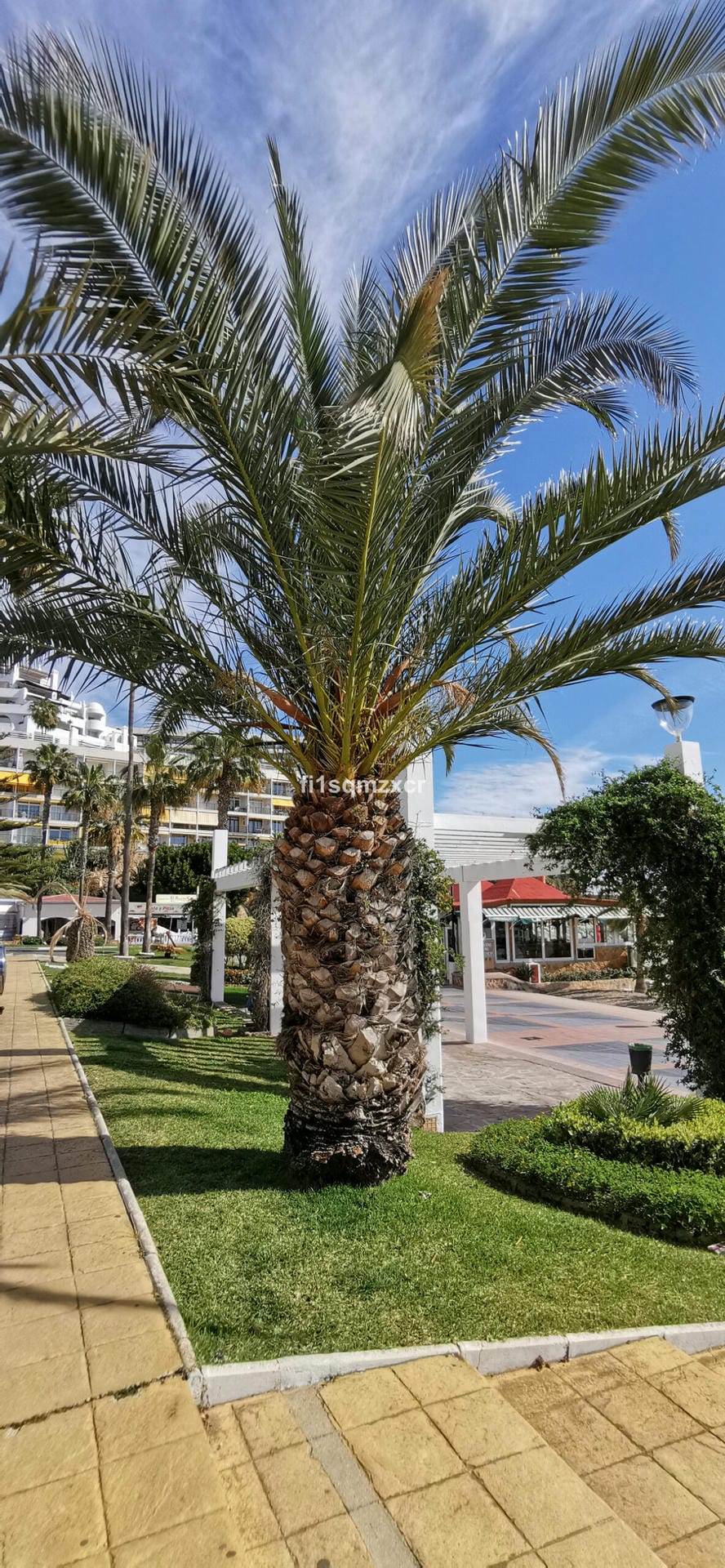 Apartament, Mieszkanie na parterze w La Carihuela Hiszpania Cc F C E Ff D B E Scaled