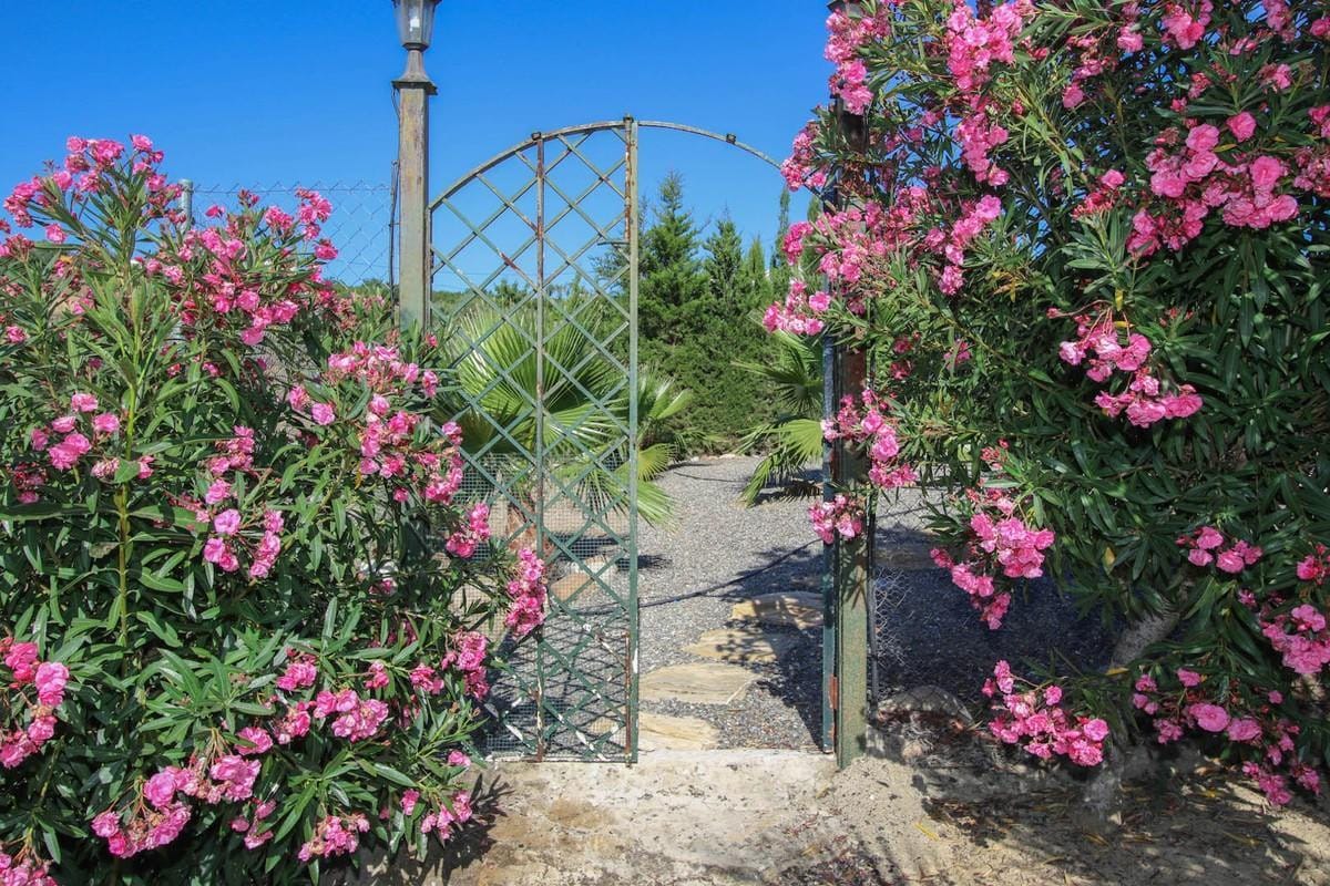 Detached Villa, House in Pizarra Hiszpania Bbc F D D Ef Dd A