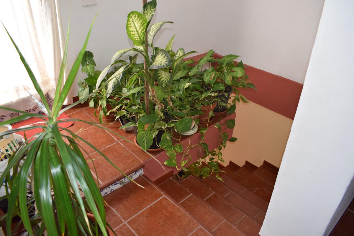 Finca , Cortijo, House in Vélez-Málaga Hiszpania Bbc F D D Ef Dd A