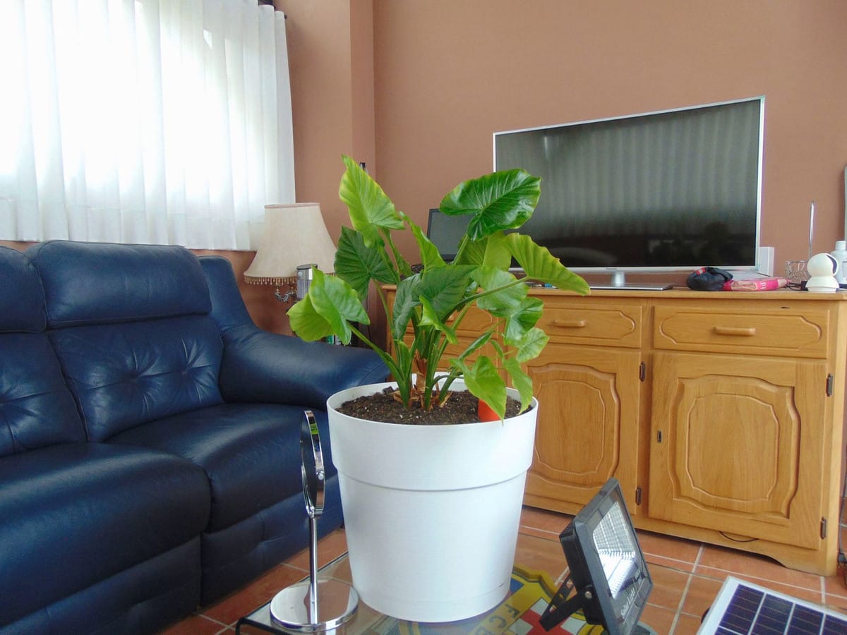 Apartament, penthouse w Arroyo de la Miel Hiszpania Be Efbbd B D F Cb C Bb