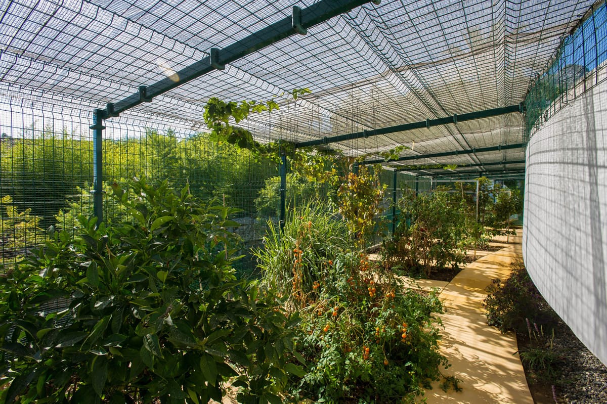 Wyjątkowa willa w Sierra Blanca na sprzedaż, Hiszpania F C A C C Ff Cc C