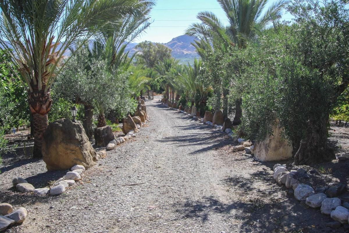 Detached Villa, House in Pizarra Hiszpania Ad Cbd Be C A Ef