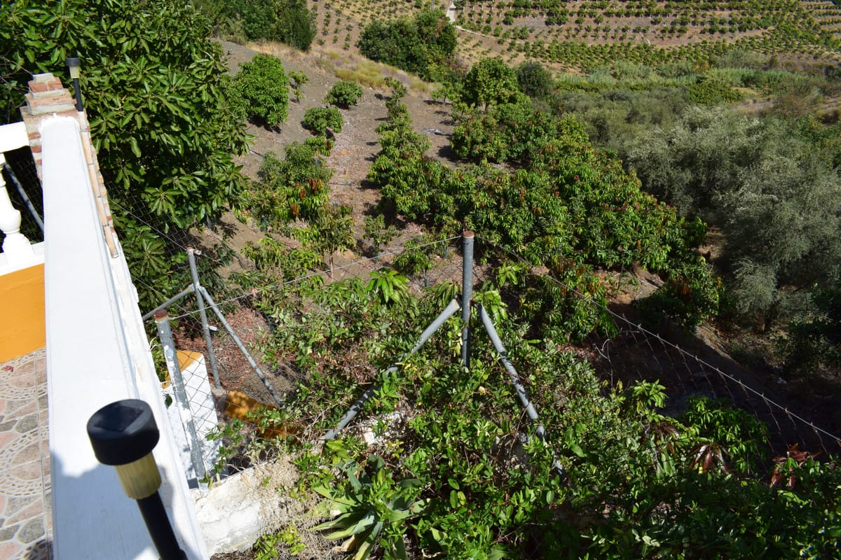 Finca , Cortijo, House in Vélez-Málaga Hiszpania A E D F Eb F D