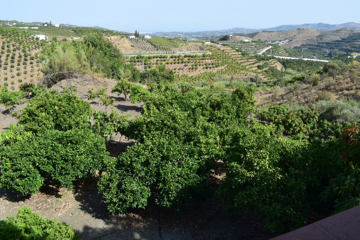 Finca , Cortijo, House in Vélez-Málaga Hiszpania Aa Ddec A Ad Aa B D C