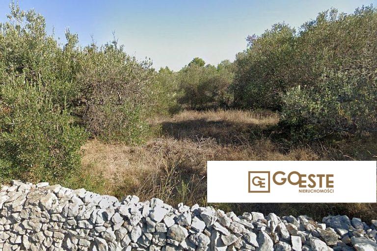 Przestronna działka budowlana - REF ID: 2036/63 w Brač Chorwacja Island Brac Building Plot For Sale