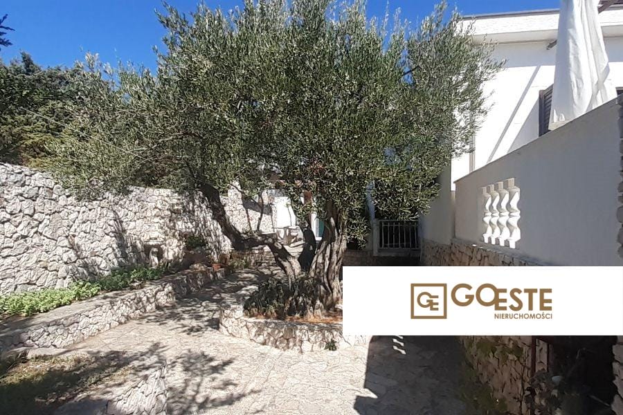 Dom z widokiem na morze - REF ID: 2031/52 w Rogoźnica Chorwacja Rogoznica House With Sea View On Sale