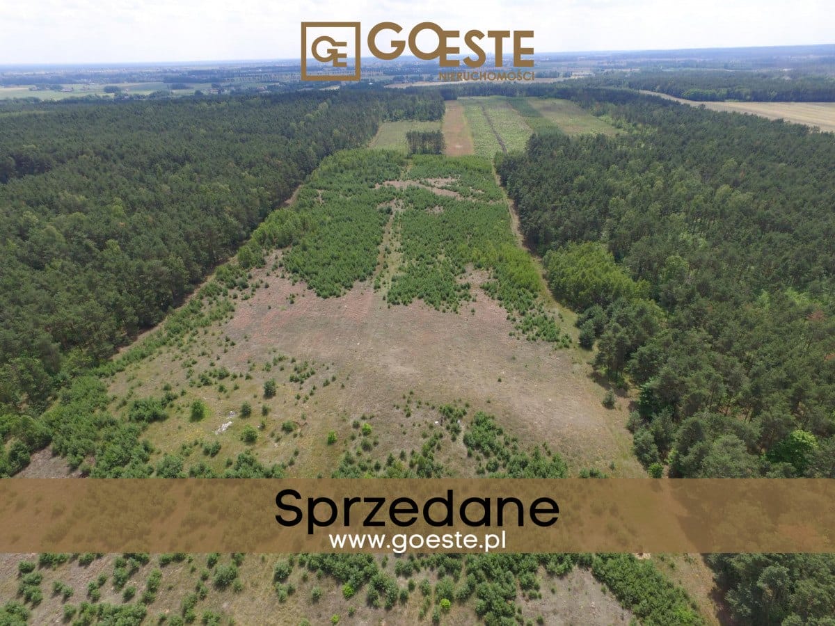 Działka na sprzedaż inwestycyjna przy A2 - Olimpia