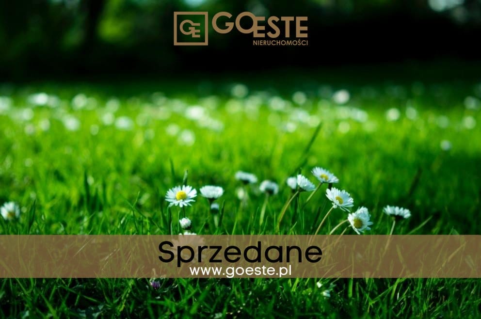 Działka na sprzedaż Pustelnik gm. Stanisławów