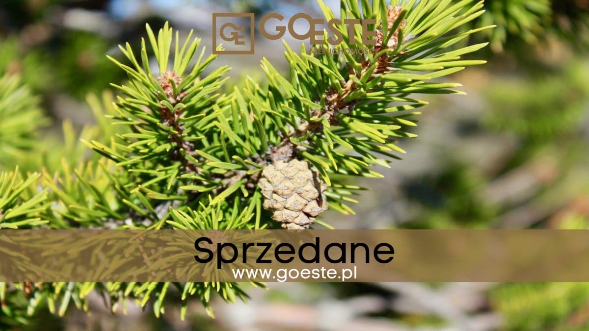 Działka budowlana ze starodrzewiem Józefów 2600m2