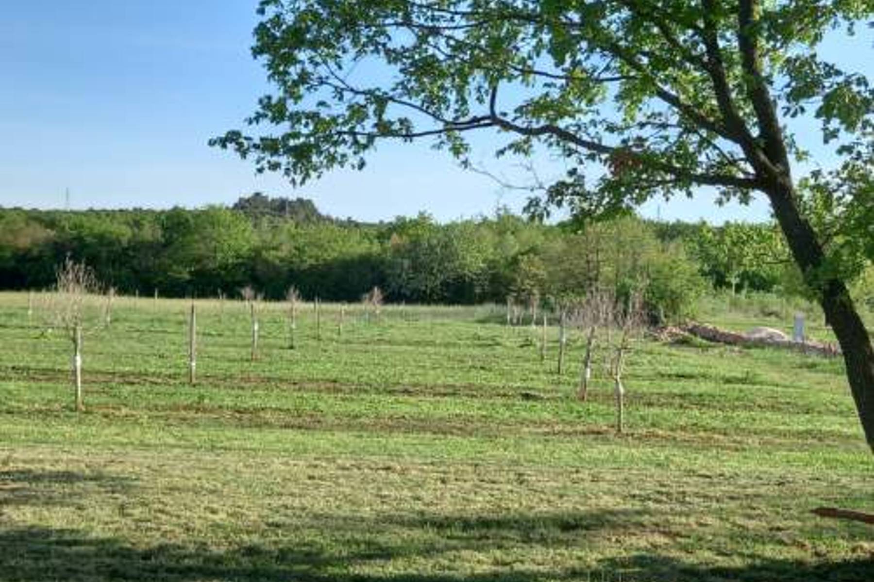 b8aeeff2a6251ce9e64dcce45beb48be