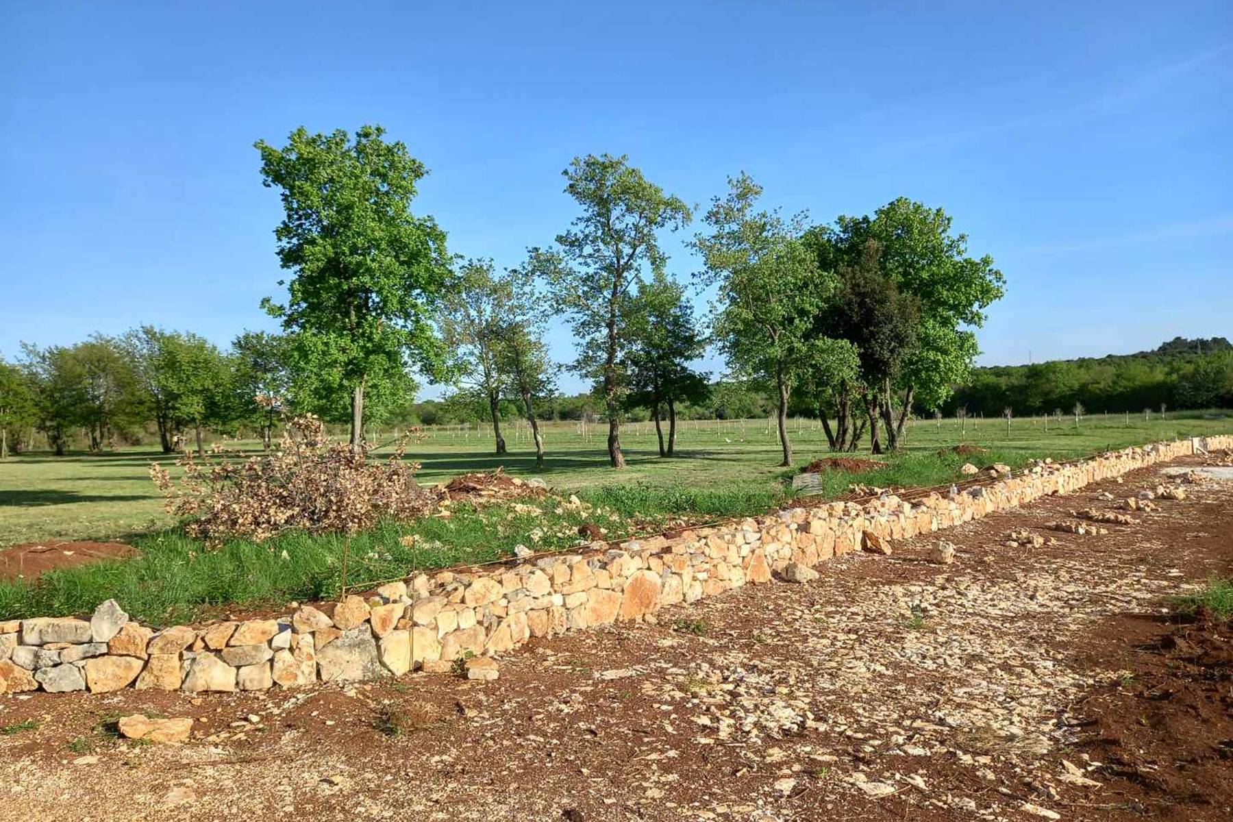 d8993634ce73fb50e9c2e6b1b90f4146