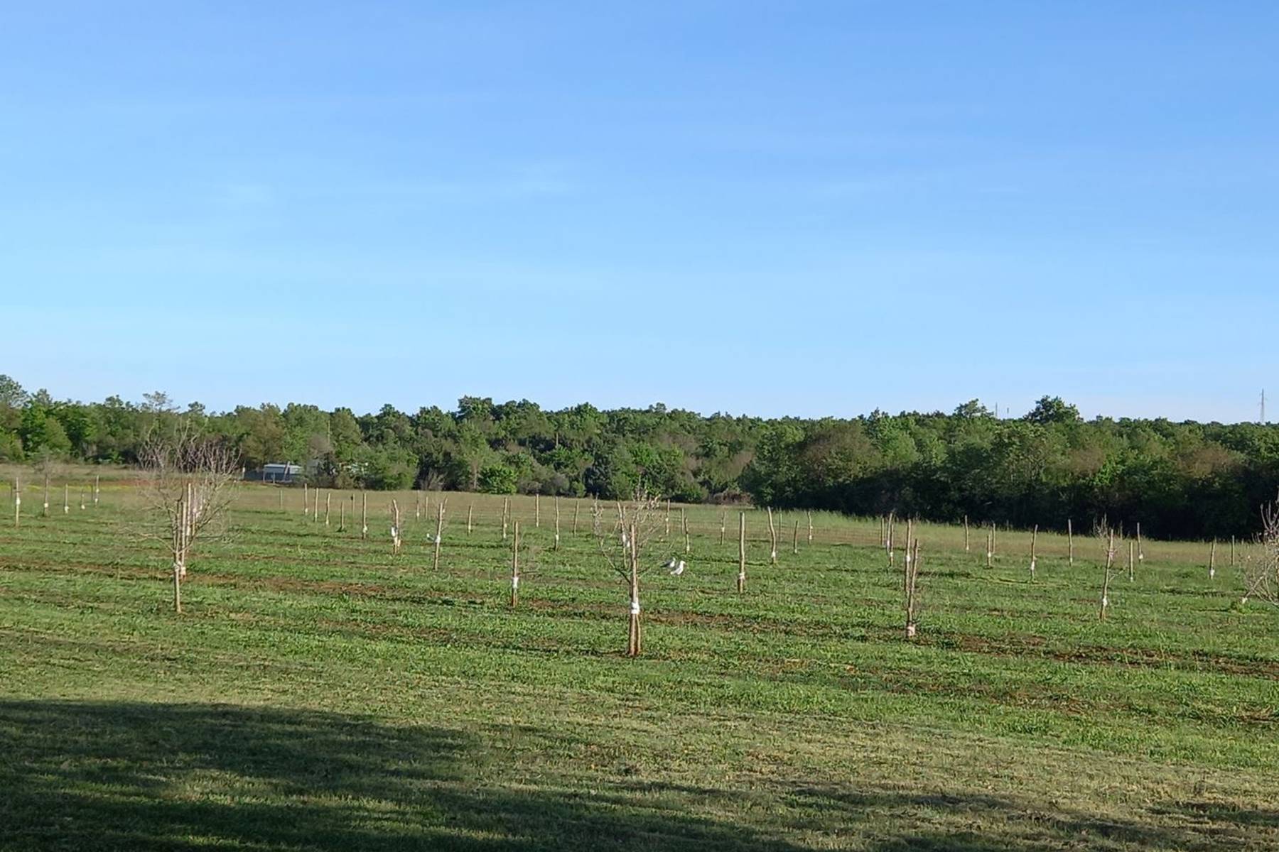 f0333ed9ea852a5c6aa96673b332a135